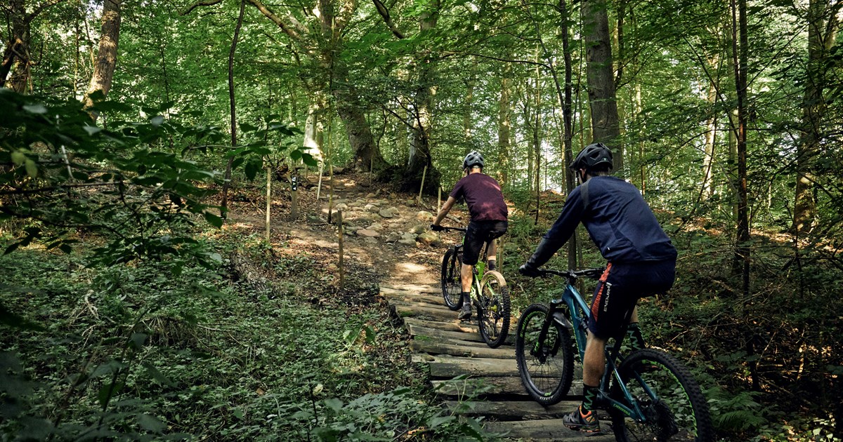 Mountain biking near Kolding Hotel Apartments